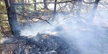 Mudurnu’da Orman Yangını Hızla Söndürüldü!