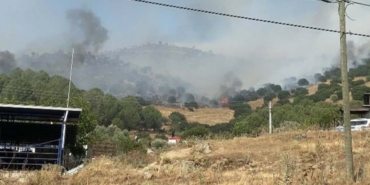 Efeler’de Orman Yangını: Müdahale Sürüyor