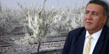 Zirai Don Felaketi: Çiftçiler Hâlâ Destek Bekliyor