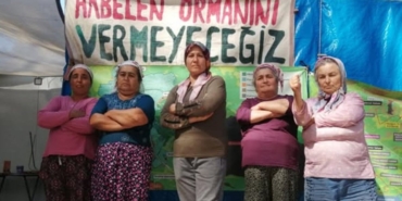 İkizköy’de Orman Mücadelesi: Muhtar Krizi!