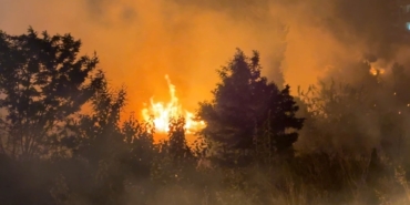 Düğün Havai Fişekleri Yangın Çıkardı!