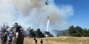 Sakarya’da Yangın: Evler Küle Döndü!