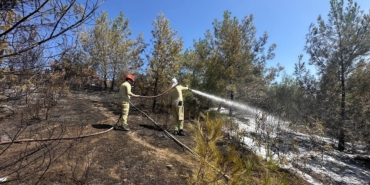 İmamoğlu’nda Orman Yangını: Müdahale Devam Ediyor!