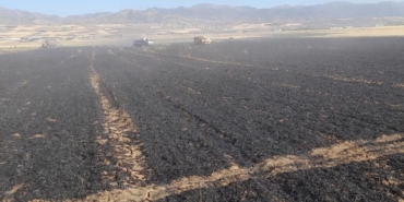 Karınca Köyü’nde Tarla Yangını: 50 Dönüm Kül Oldu