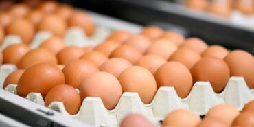 Yumurta Kodeksinde Değişiklik: Tüketim Tarihleri Yenilendi