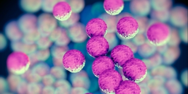 Yeni MRSA Türü Avrupa’da Hızla Yayılıyor!