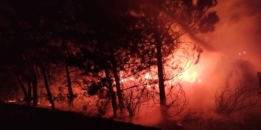 Mudurnu’da Yangın Korkusu: Hızlı Müdahale Başarıyla Sonuçlandı!
