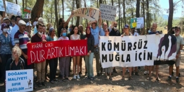 Akbelen Ormanı’nda Talan ve Direniş Devam Ediyor