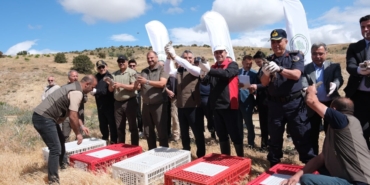 Yozgat’ta 1000 Kınalı Keklik Doğaya Salındı!