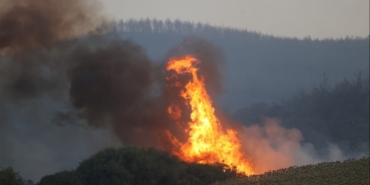 Türkiye’de Orman Yangınlarıyla Mücadele Başladı
