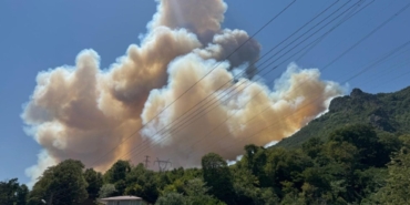 İzmir Orman Yangınları İçin Suç Duyurusu!