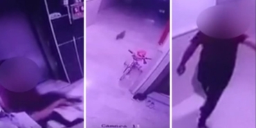 Konya’da Kediye Şiddet: Hayvanseverler İsyanda!