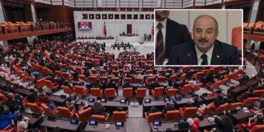 Zeytinlikler İçin Tehlike: Torba Kanun Görüşmeleri!