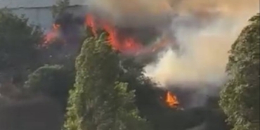 Sultangazi’de Alevler Ağaçlık Alana Sıçradı!