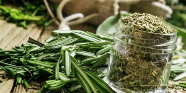 Biberiye: Lezzet ve Sağlık İçin Şifa Kaynağı