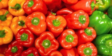 Renkli Dolmalık Biberlerin Sağlık Faydaları!