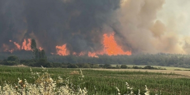 Şarköy’de Çıkan Yangın, Gelibolu’ya Sıçradı!
