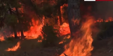 Bursa’da Orman Yangını: Alevler Yeniden Yükseldi!