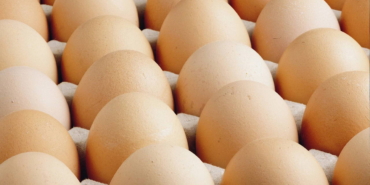 Yumurta İstifası Azalıyor: Yeni Etiket ve Raf Ömrü!