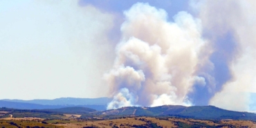 Türkiye’nin Dört Bir Yanında Orman Yangınları!