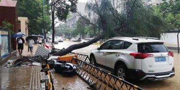 Çin’de Sel Felaketi: 31 Kişi Hayatını Kaybetti