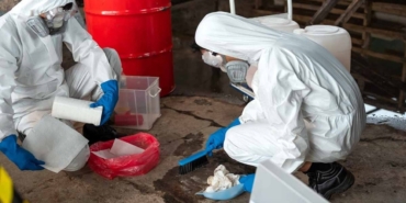 Sivrisinek Tehdidi: DSÖ İlk Kılavuzunu Yayınladı!