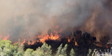 İstanbul’da Orman Yangınlarına Karşı Yeni Önlemler