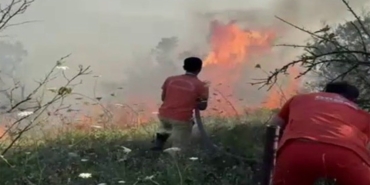 Sakarya’da Orman Yangını: Kontrol Altına Alındı