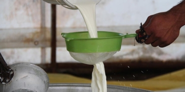 Keçi Sütü: Sağlığın Yeni Şampiyonu!