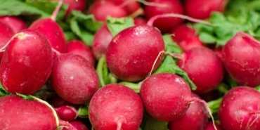 Turplarda Dikkat! Zehirlenme Riski ve Uyarılar