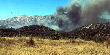 Muğla’da Şiddetli Rüzgarla Yangın Büyüyor!
