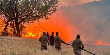 61 Orman Yangınında 23 Şüpheli Gözaltında!