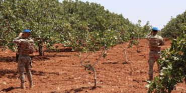 Antep Fıstığı Hırsızlarına Karşı Önlemler Artıyor