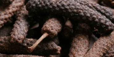 Darülfülfül: Şifalı Baharatın Faydaları Yeniden Keşfedildi!