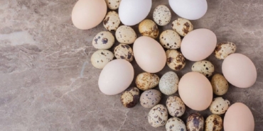 Bıldırcın Yumurtası: Sağlığın Gizli Kahramanı