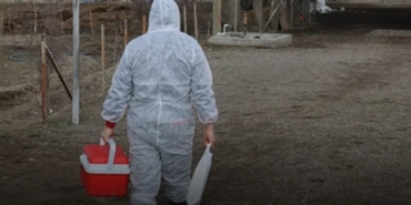 Denizlerde Kolera Tehlikesi: Vibrio Bakterisi Tespit Edildi