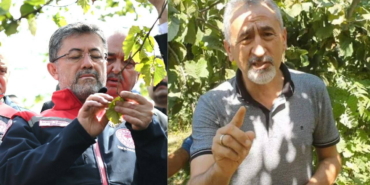 Fındık Fiyatları: Tüccarın Yanında mı, Üreticinin?