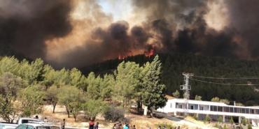 Adıyaman’da Orman Yangınına Hızla Müdahale