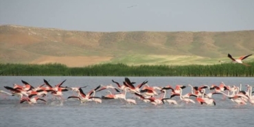 CHP, Kırşehir’de DEFAŞ Mitingi Yapacak!