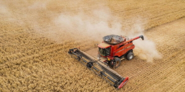 Tarım Ürünleri Fiyatları Dalgalı Seyir İzliyor!