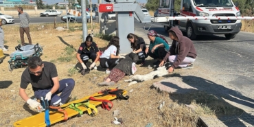 Tren Kazasında Yaralanan Gökçe’nin Durumu İyi!