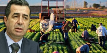 Tarım Kiralamalarında Eleştiriler: Çiftçi Dışlanıyor!