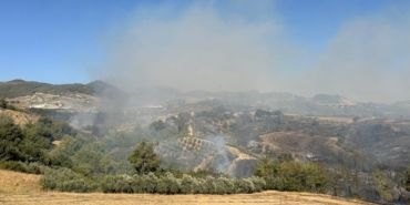 Türkiye’yi Saran Orman Yangınları Korkutuyor!