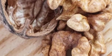 Cevizle Kanser Riskini Azaltmanın Yolu!