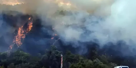 Bolu’daki Orman Yangını Kontrol Altına Alındı Bolu’daki Orman Yangını Kontrol Altına Alındı