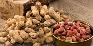 Türkiye’den İtalya’ya Fıstık Krizi: Aflatoksin Alarmı