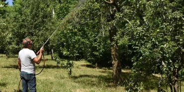 Türkiye’de Yasaklı Pestisit Ruhsatı Şoku!