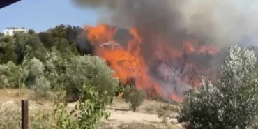 Orman İşçisi Adem Demirel Şehit Oldu