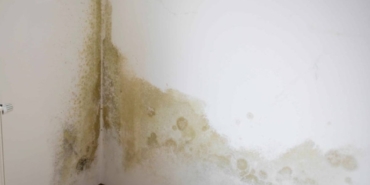 Rutubetle Mücadelede Doğal Çözüm Yöntemi!