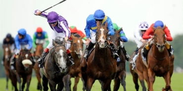 Ormancılık Eğitimi Olmadan 333 Bin Lira Kazanıyorlar!